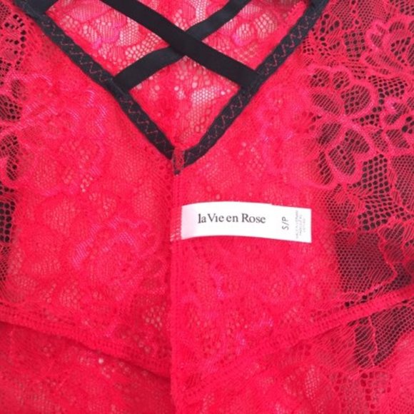 La Vie En Rose Teddy (NWOT) - Picture 5 of 5